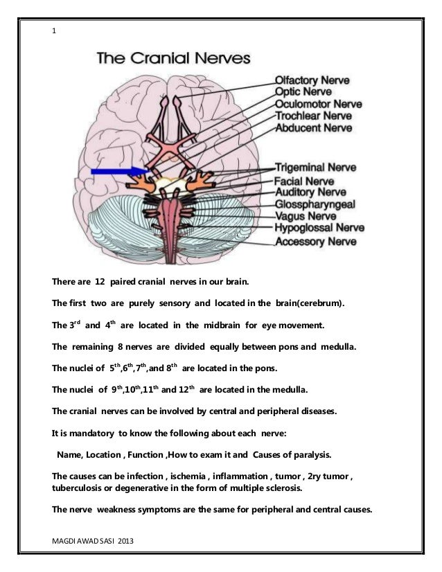 Cranial nerves examination and disorders