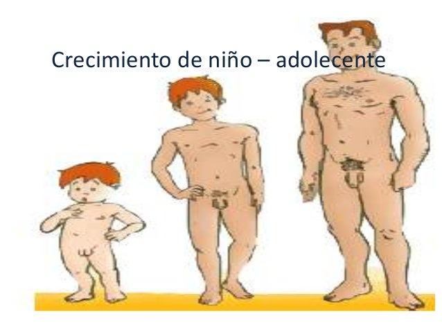 Opiratsiya por el aumento del miembro