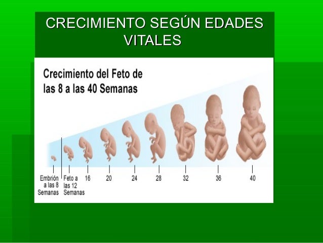 Crecimiento por edades