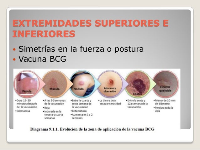 Como se renueva la piel a la psoriasis