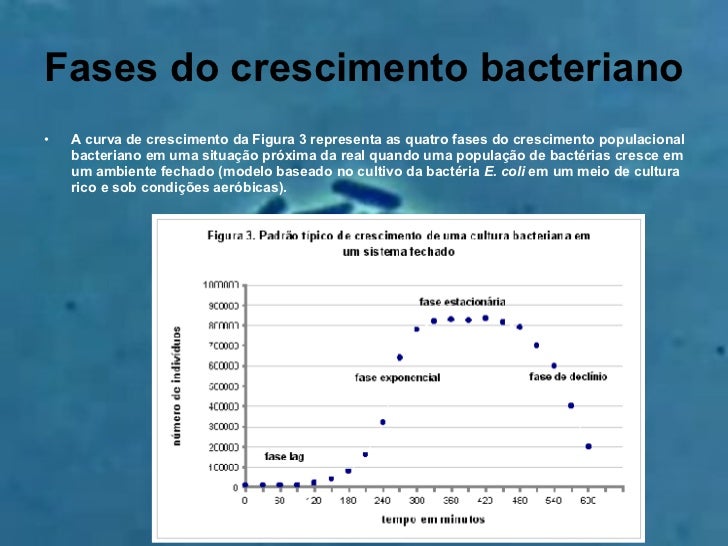 Crescimento das Bactérias