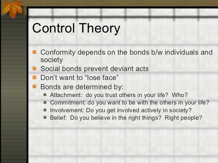 Social Control Theory Essay