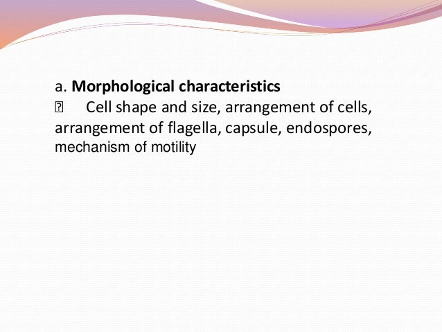 Micro Activity 5 and beyond Flashcards Quizlet