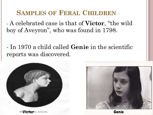 Genie the wild child essay