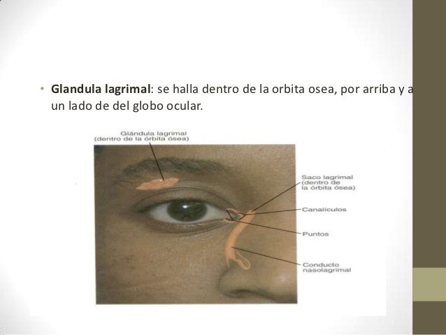 La acupuntura a la osteocondrosis en bryanske