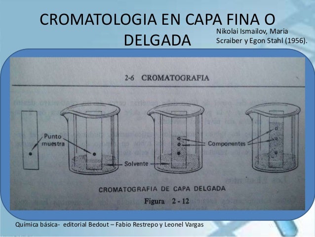 Cromatografía de aminoácidos en capa fina