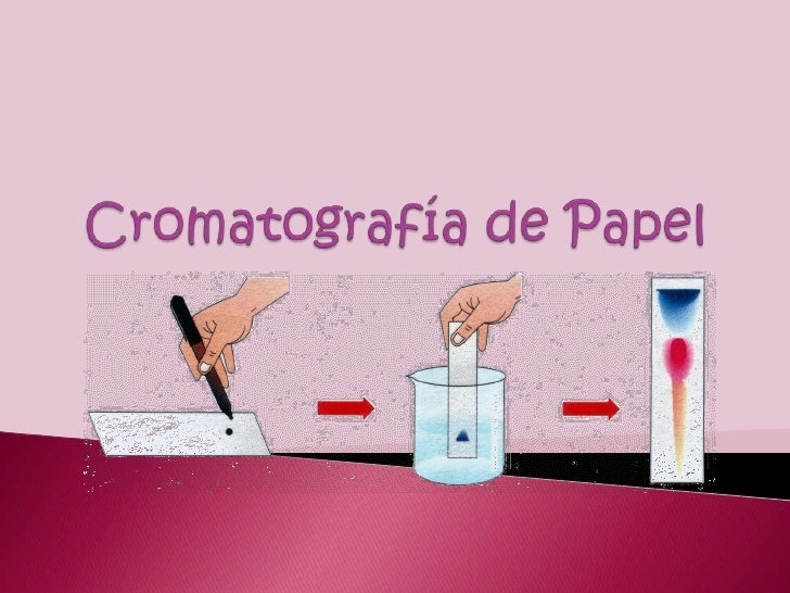 Cromatografía de papel