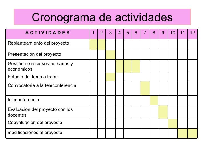 formato excel cronograma de actividades