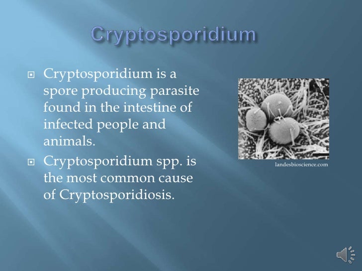 Cryptosporidium presentation