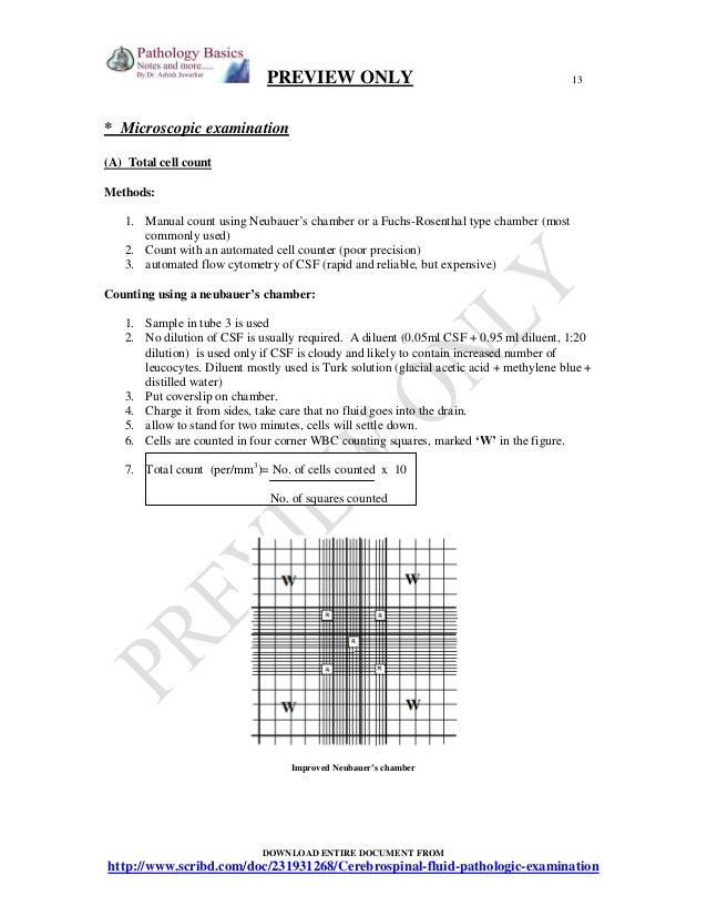 D-CSF-SC-23 Vorbereitung | Maxtic