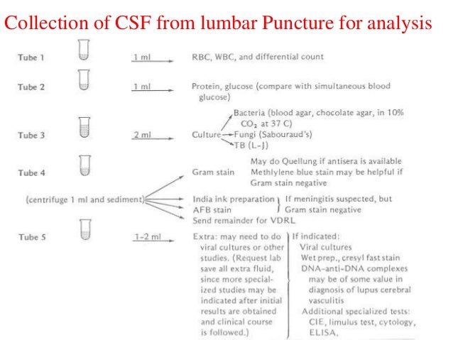 Lumbar Puncture Procedure Note Template