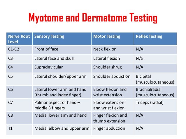Myotome and Dermatome Testing Nerve Root Sensory Testing Level  Motor Testing  Reflex Testing  C1-C2  Front of face  Neck ...