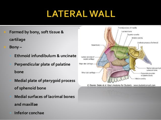 CT ANATOMY OF PARA NASAL SINUSES