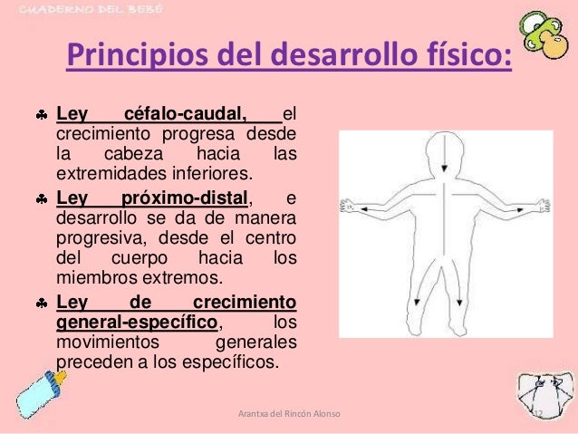 Gratis los consejos aumentar el miembro