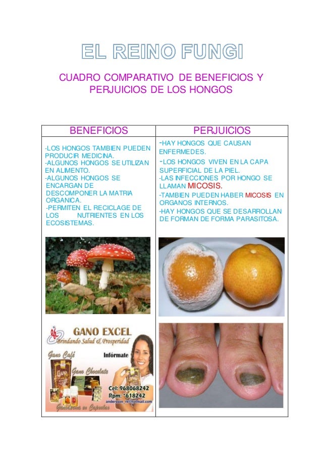 Cuadro comparativo de beneficios y perjuicios de los hongos