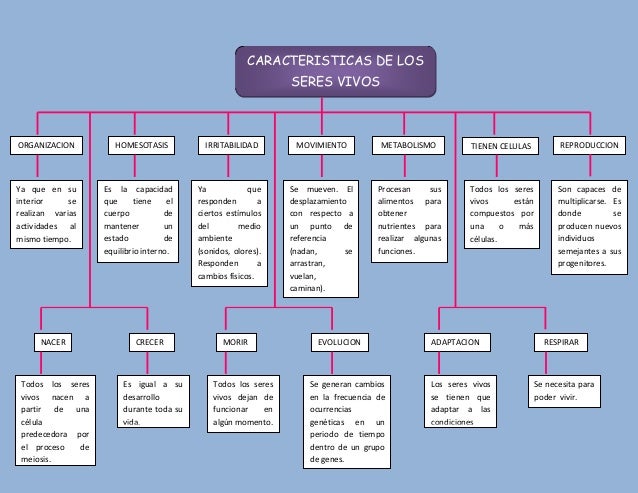 Cuadro de caracteristicas de los seres vivos