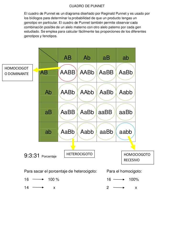 Cuadro de punnet (1)