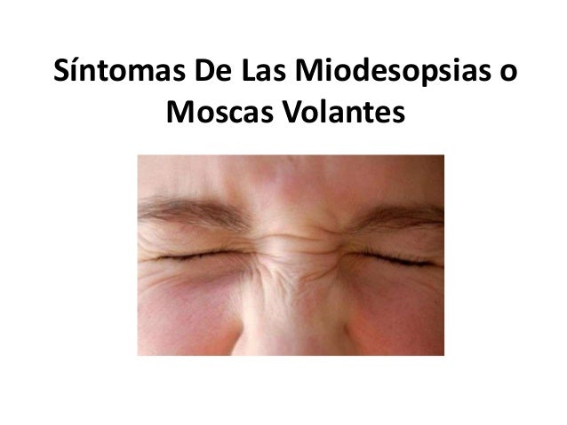 Las venas azules en los pies al niño