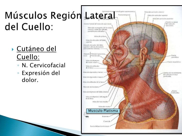 Si duele mucho tiempo a la osteocondrosis