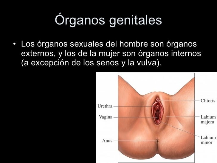 Que sustancias llaman la psoriasis