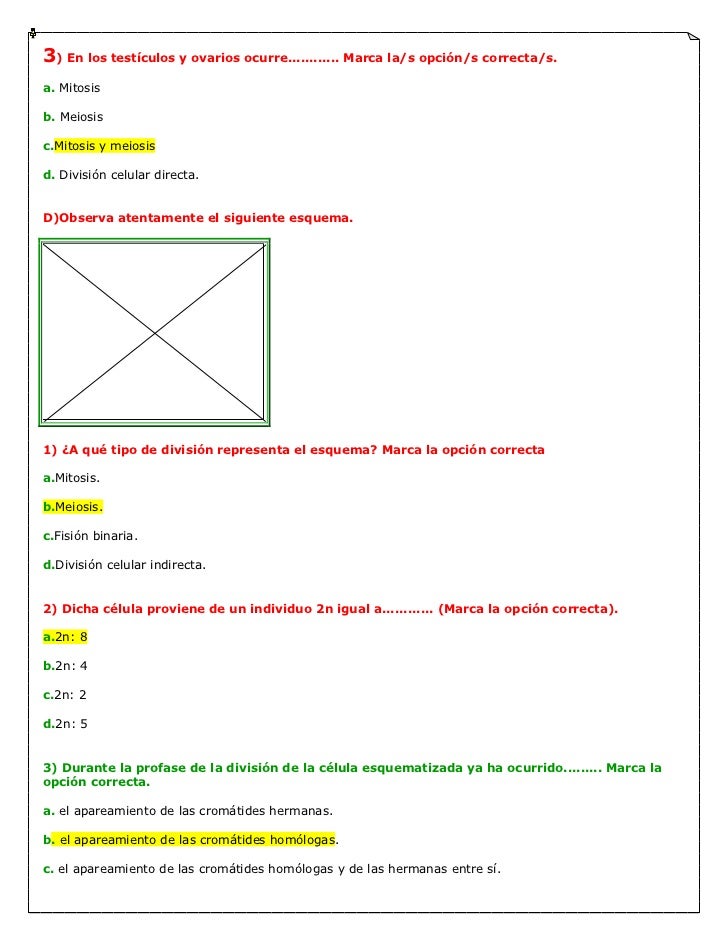 Cuestionario de opciones binarias