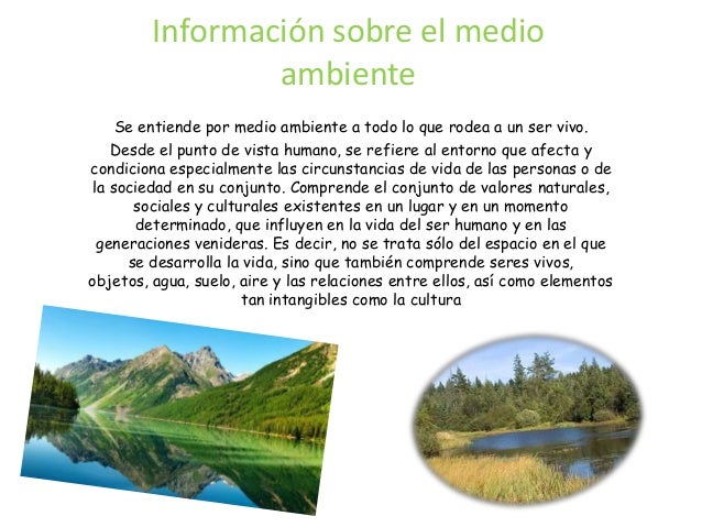 Todo sobre el apalancamiento forex