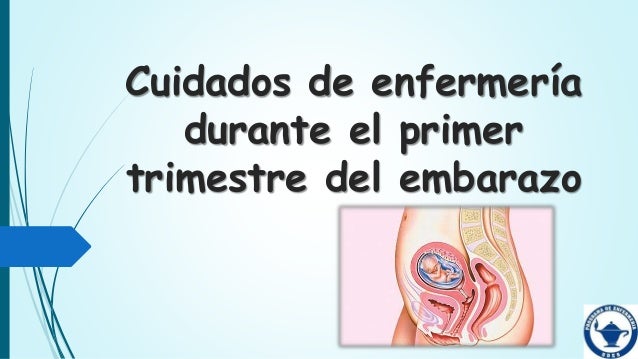 alimentaci n para embarazadas primer trimestre cuidados de enfermeria en el 1er trimestre de embarazo alimentaci n para embarazadas primer trimestre cuidados de enfermeria en el 1er trimestre de embarazo