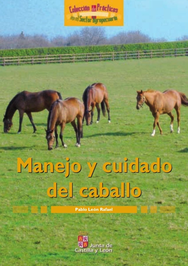 toda la informaci 243 n sobre tankard en colombia factor metal razas manejo y cuidados caballo cuidados caballo 0 toda la informaci 243 n sobre tankard en colombia factor metal razas manejo y cuidados caballo cuidados caballo 0