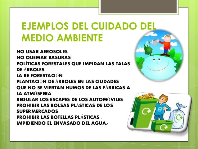 Cuidados del medio ambiente