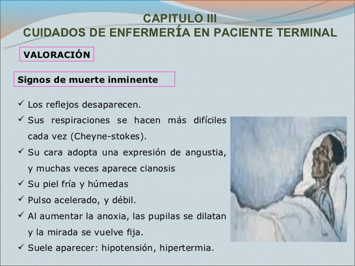 Cuidados post morten Cuidados post morten