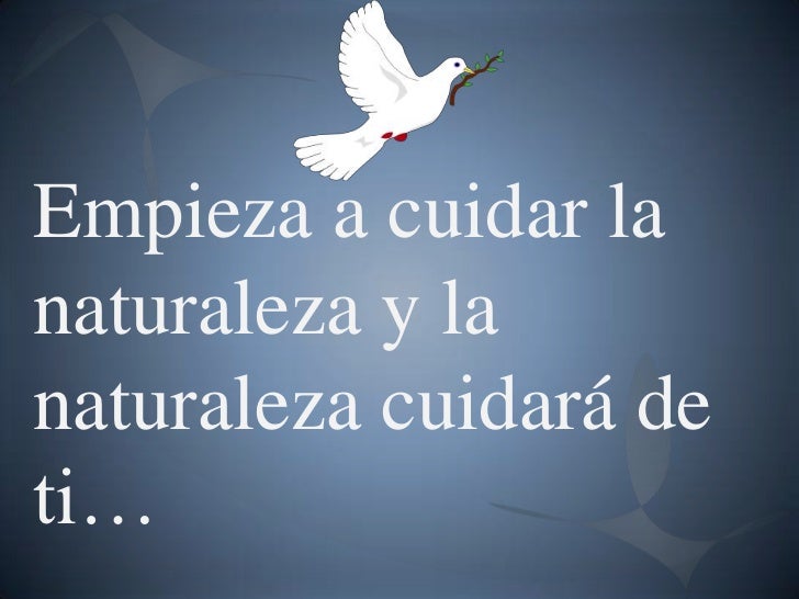 Imagenes De Reflexion Notitas | reflexiones y bonitas imagenes Imagenes De Reflexion Notitas | reflexiones y bonitas imagenes