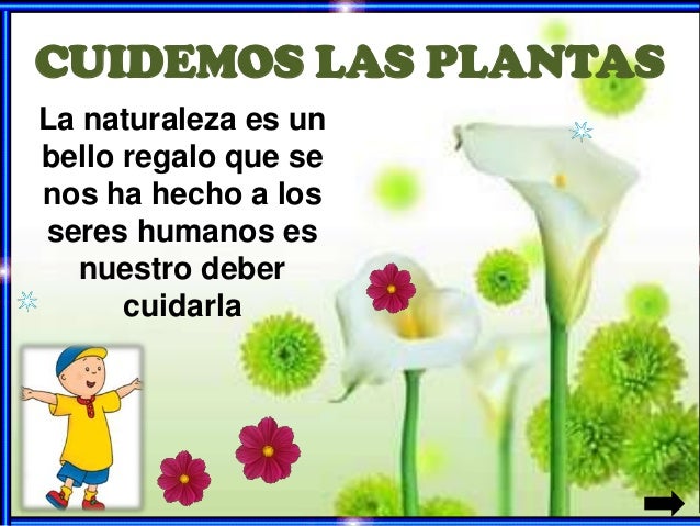 Cuidemos las plantas Cuidemos las plantas