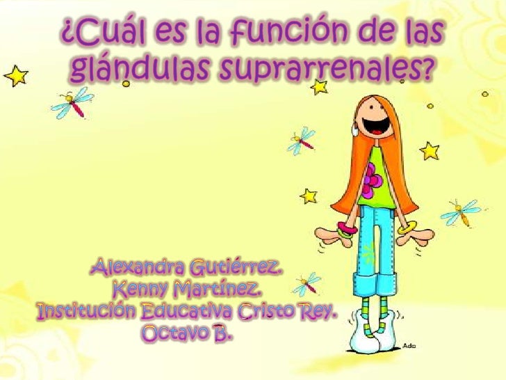 FUNCION DE LAS funcion de las: