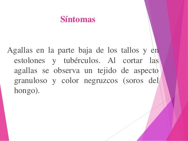 Las uñas seco y frágil como curar en los pies