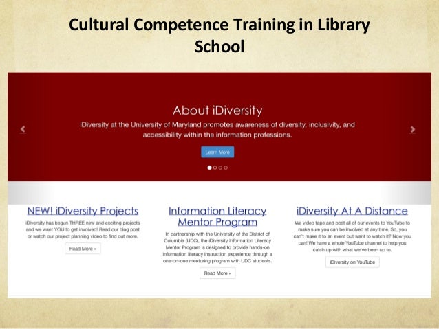 Cultural competence essay