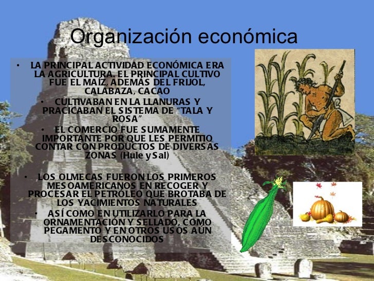 Cultura olmeca Cultura olmeca