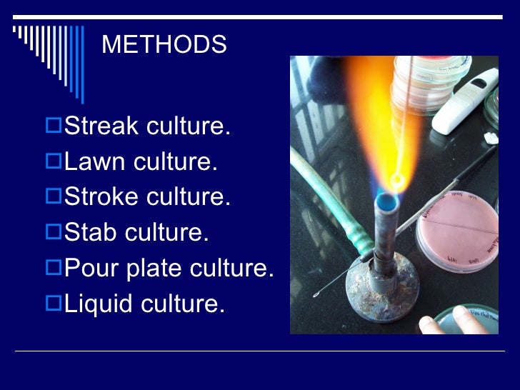 Culture methods