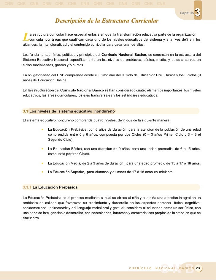 curriculo nacional basico curriculo basico nacional