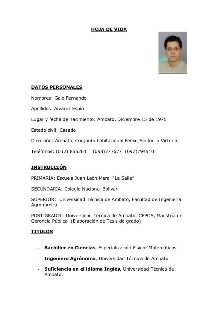 formatos curriculums