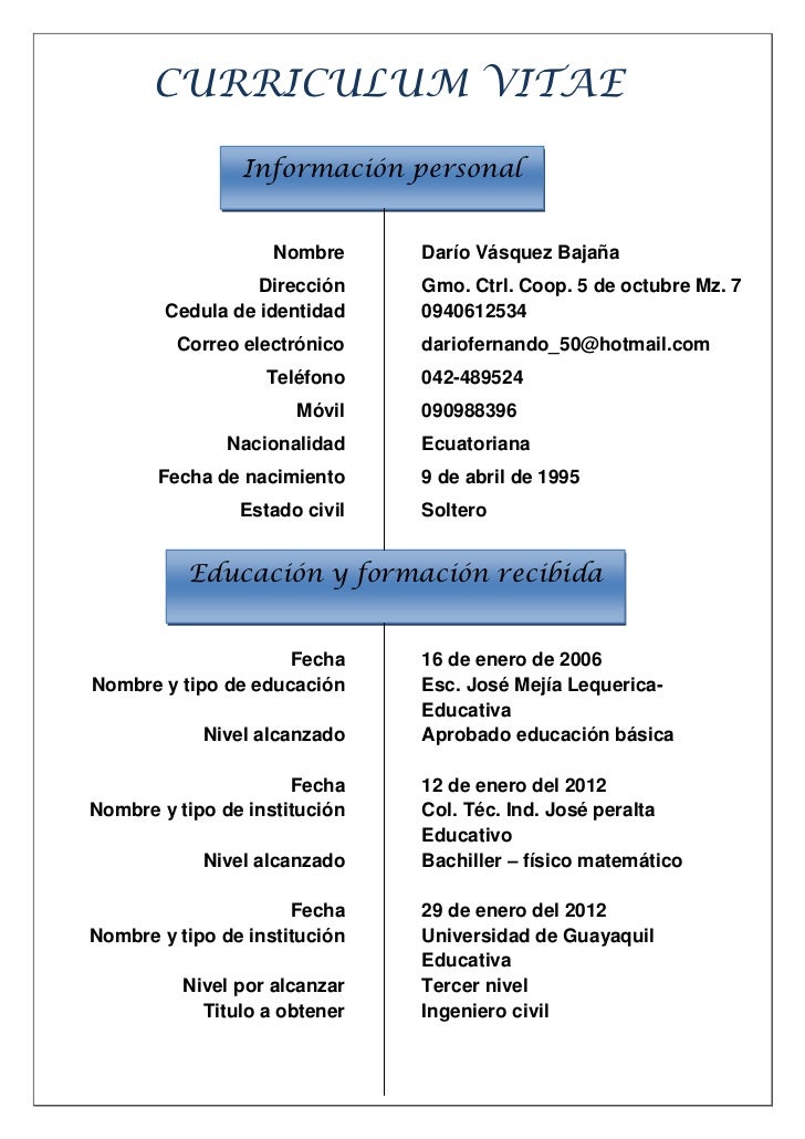 Curriculum vitae template picture