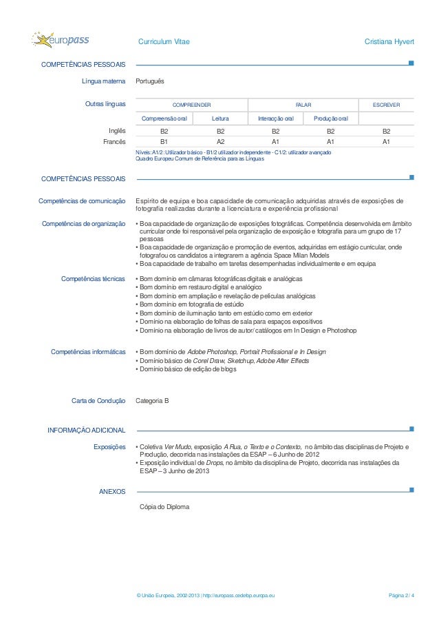 Curriculum vitae competencias 08 picture