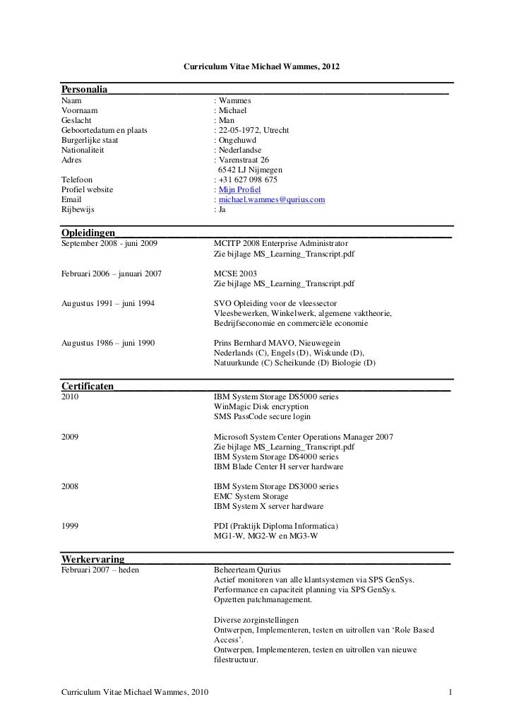 curriculum vitae michael wammes 2012 1 728