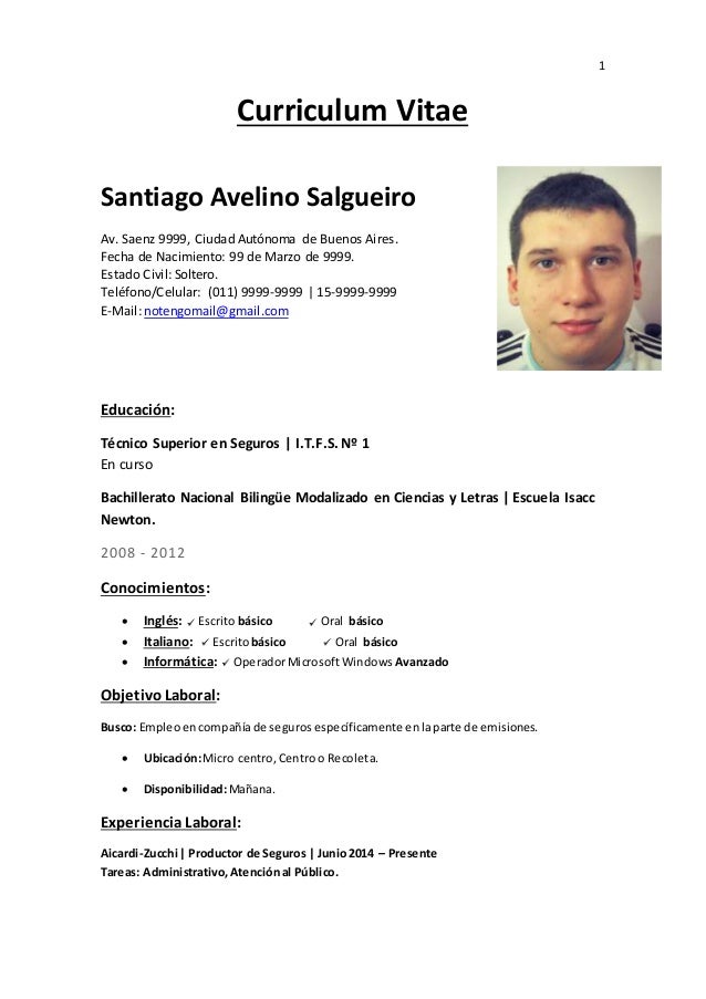 Curriculum vitae examples pdf picture