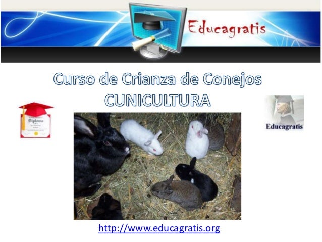 Cursos de astronomia gratis
