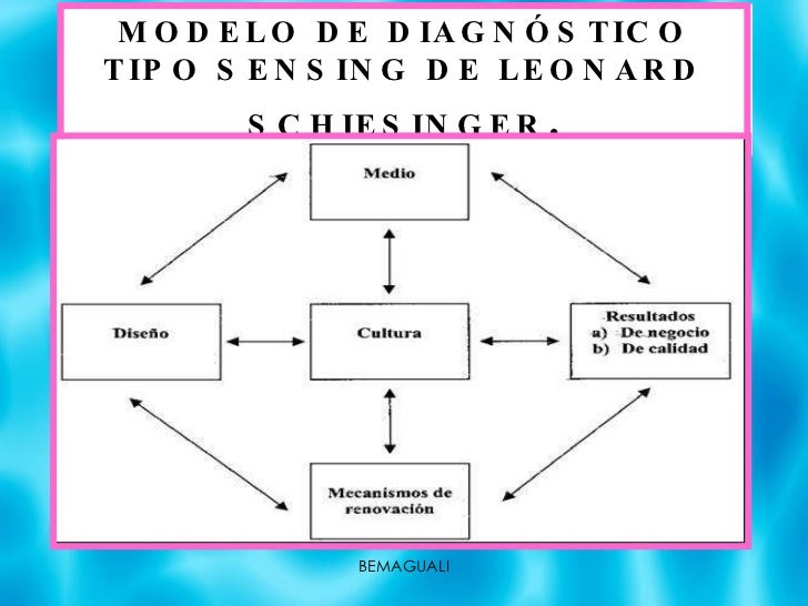 diagnostico organizacional