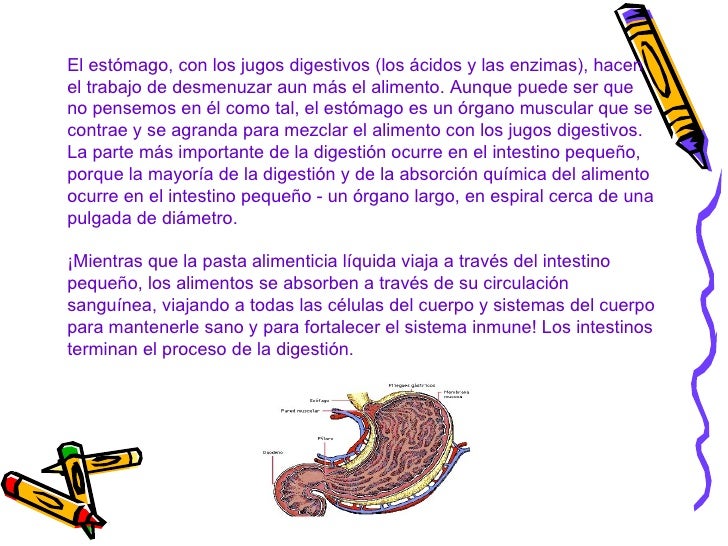 Que cuesta como bajar de peso en un dia haciendo ejercicio prometo Victoza como bajar de peso en un dia haciendo ejercicio tomar una