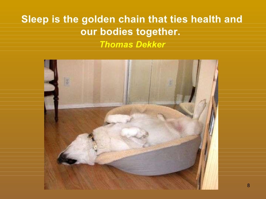 Sleep is the golden chain