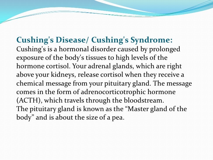 Cushing’s powerpoint