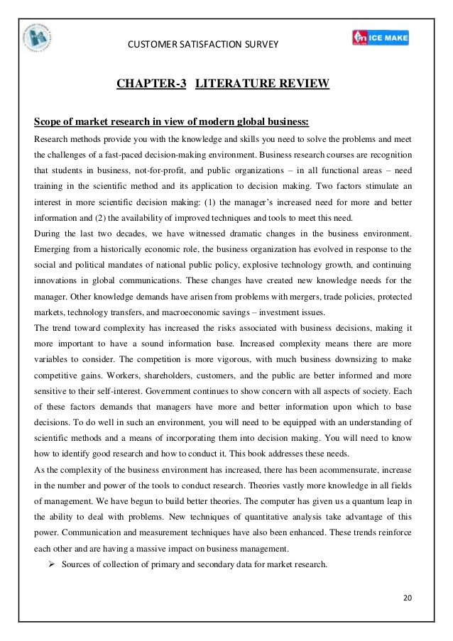literature review customer service