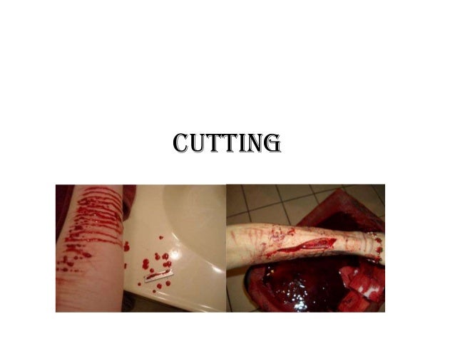 cutting cutting